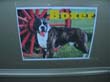 DSCN0367