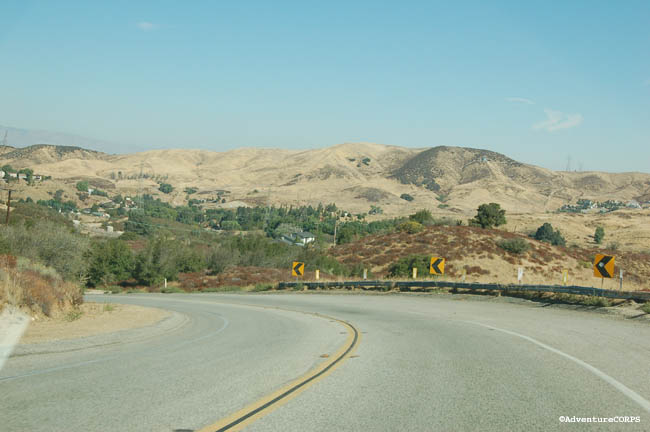 DSC_0081