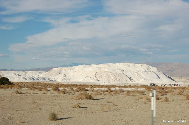 DSC_0230