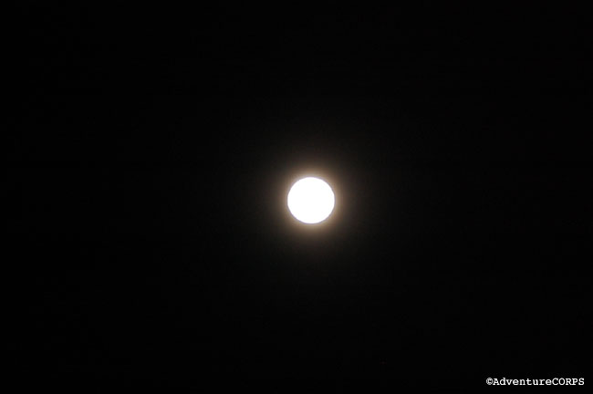 DSC_0427